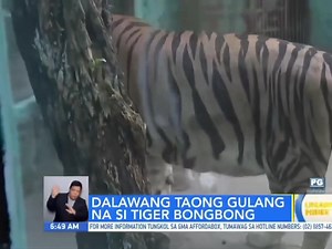 ilang ano po? | Chill