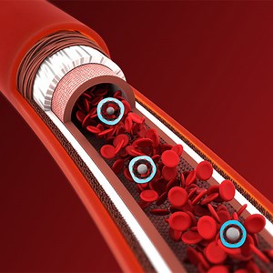 UMD Scientists Create Chemical Compound That Can Reverse Effects of Potentially Deadly Drugs | College of Computer, Mathematical, and Natural Sciences | University of Maryland