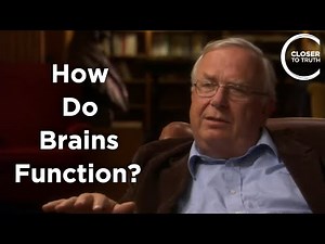 Michael Merzenich - How Do Brains Function?