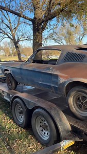 1967 Mustang fastback 390 S code 4 speed project…it’s about to roll again after getting a new floor pan, torque boxes, firewall, and lower cowl. #mustangfastback #fastbackmustang #fastback #mustang #fordmustang #67mustang #1967mustang #68mustang #1968mustang #bullitt #bullit #mustangeleanor #eleanor #gonein60seconds #goneinsixtyseconds #vintagemustang #vintagemustangs #classicmustang #abandonedcar #abandonedcars #forgottencars #forgottencar #projectcar #projectcars | Kelsey Wayne