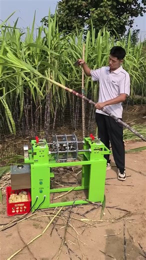 Amazing farmers 🔗🔃✅ #fyp #loveyou #fypchallenge #foryou #fypシ゚viralシ