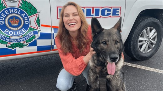 Dogs are having a moment as the new stars of reality TV