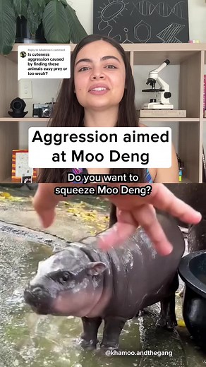 The Fascinating Psychology Behind Cute Aggression Explained