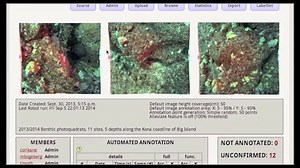 0. CoralNet overview