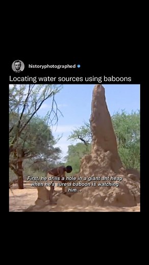 History Photographed | In “Animals are Beautiful People,” a 1974 documentary by Jamie Uys, viewers get a unique look at how a tribe in Southern Africa tricks... | Instagram
