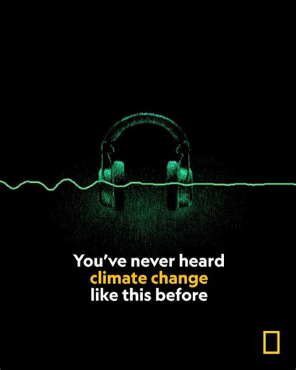 520K views · 843 reactions | As our world changes, so do the animal...