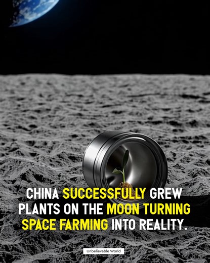 During the Chang’e-4 mission, scientists placed a tiny, sealed biosphere on the lunar surface containing seeds of cotton, potato, and Arabidopsis (a small flowering plant). Against the odds, one cotton seed germinated, marking the first time life has ever sprouted beyond Earth. Though the fragile seedling survived only a short time — succumbing to the Moon’s brutal temperature swings — its brief existence was enough to make history. It proved that life can take root, even in one of the harshest 