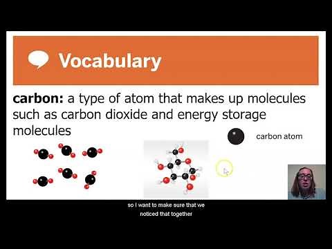 Science, 7th Grade, 5/14, How Energy Storage Molecules Are Made
