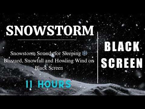 Snowstorm Sounds for Sleeping ❄️ Blizzard, Snowfall and Howling Wind on Black Screen