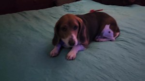 39K views · 1.7K reactions | UPDATE: Trucker has an adoption pending...