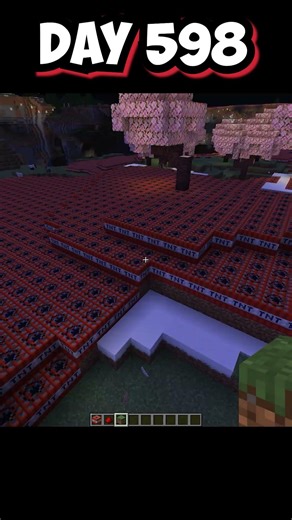 Minecraft, but 2 days left for 600