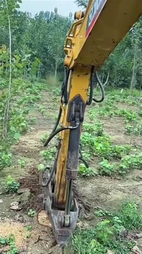 one of the processes of removing the roots of a tree that has just been cut #machinerychannel