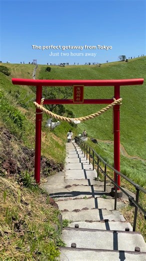 Mari 🇮🇹 • Japan Travel on Instagram: "Izu Peninsula: one of the best getaway destinations from Tokyo! Just a short trip from the city, Izu is famous for its hot springs, rugged coastlines, turquoise beaches, waterfalls, and volcanic landscapes: the perfect mix of nature and relaxation. 🥰 📍 How to get there from Tokyo – Atami: JR Tokaido Line or Shinkansen (40–50 min) – Izu Peninsula: From Atami, you can continue by local trains or buses to coastal spots like Jogasaki, Izu-Kōgen, and Mount Om