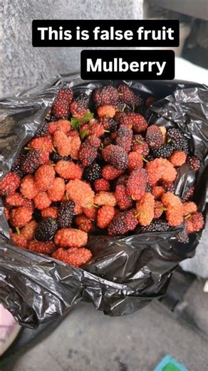 Sexual Reproduction in flowering plants class-XII #biology #biovative #youtubeshorts #shorts #neet