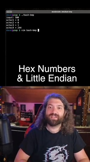 Dave Eddy | writing binary data with bash functions, hex numbers & little endian - testing with very large numbers. you suck at programming... | Instagram