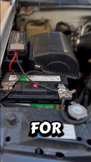 Demo Electrical Setup: 12V AGM Daily + 16V CMAX