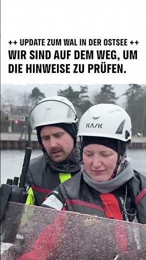 🐋 Walsichtungen gemeldet: Wir prüfen die Hinweise & wollen dem Wal helfen, nicht wieder zu stranden.