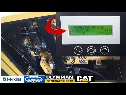 Unexpected engine shut down symptoms. #generator #1millionsubscribers