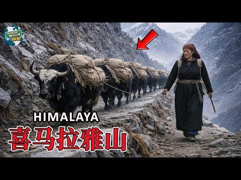 喜马拉雅奇观｜很少有人见过的世界之巅｜4K旅行纪录片｜探索世界