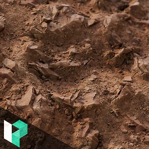 Levelup.Digital - Using SD in Production