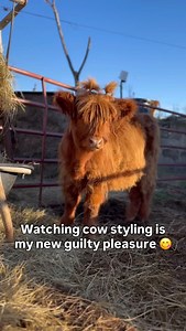 It’s too addictive 🫠 | Cozzyycooo