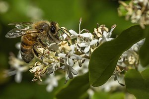 an-introduction-to-rna