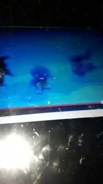 Backyardigans theme songs