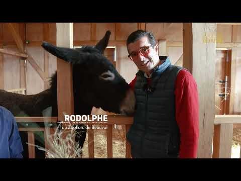 NOUVEAUTÉS 2026 : Bucolia et Les Terres Rouges ouvrent leurs portes !