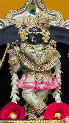 Radha Rani devotees vlogs#barsana #love #song #shyam #radharani #vrindavan #prem #isckon #radharaman