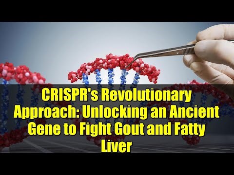 CRISPR's Revolutionary Approach: Unlocking an Ancient Gene to Fight Gout and Fatty Liver