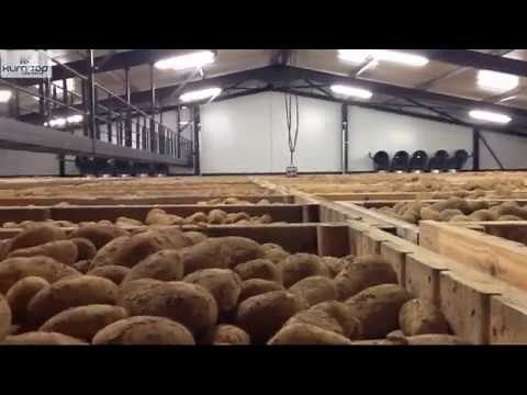 Potato storage by Klimtop Controls