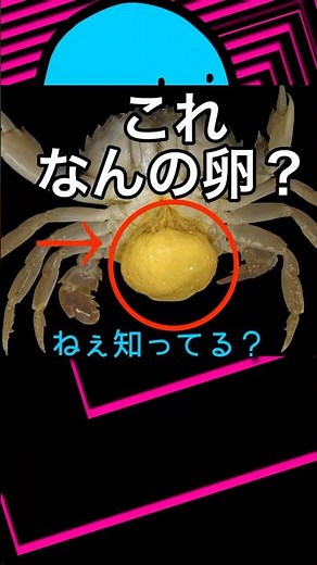 Parasitic organism, Fukuromushi