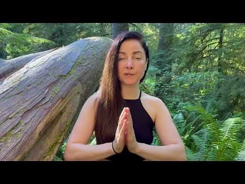 Wing Chun Online - Learn Sil Lim Tao (Siu Nim Tao or Siu Lim Tao)