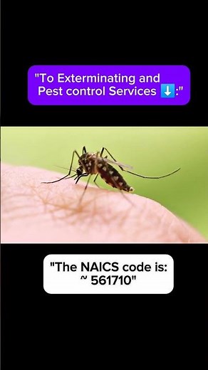 NAICS Code for Pest Control Business | 561710 | #NAICS #PestControl #smallbusiness