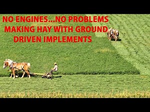 MAKING HAY w/ Ground Driven Implements with the OLD ORDER MENNONITES in Lancaster's Amish Country