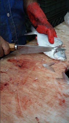 Easiest Way to Cut a Small Fish in Seconds