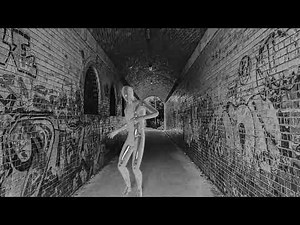 LE SOUFFLEUR DE SONS - LE VOLEUR DE DANSES