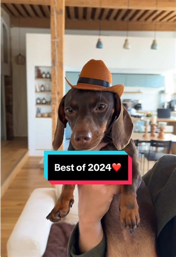 Votre chouchou de l'année : Découvrez nos aspirateurs !