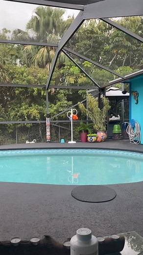 Artsy Fartsy on Reels | Facebook