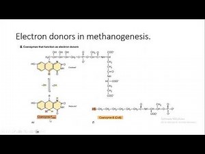 Methanogenesis