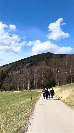 Hiking Reward: Insane View Over Tegernsee Lake! #Tegernsee #Bavaria #Bayern #Hiking