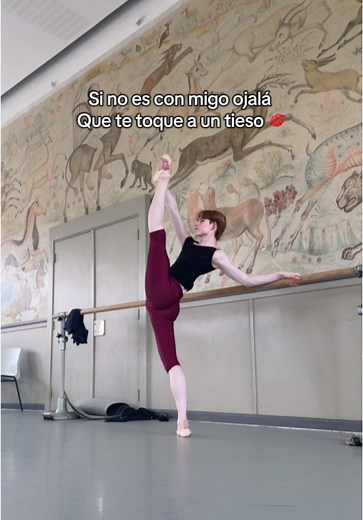 Balletcore Humor: The Fun Side of Ballet Dancing