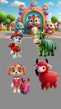 Early Education Kids Songs Collection for Babies 0-3