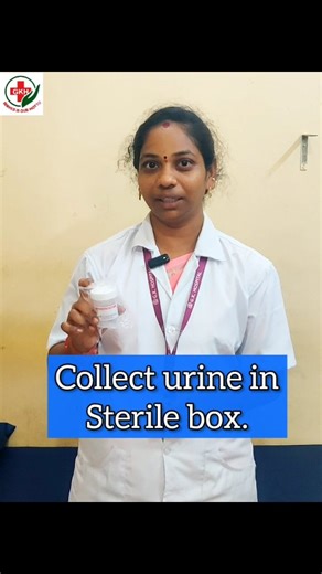 Dr Shruthi Karthikeyan on Instagram: "Urine sample collection procedure #urine #gkhospital #urineproblem #science In this video, GK hospital nurse Priya shows how to collect urine sample for urine culture test. Like and subscribe! #gkhospital #urine #uti #urinetests #urineinfection #urinary #urinalysis #labtechnician #labtest #drshruthiaiims #tamilhealthtips #urineproblem #nurse"