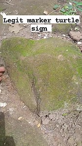 Small turtle sign point to treasure #fbreelsfypviralシ #fbreelsviral #TreasureHunt #treasurehunter #treasurehunting #yamashita #YamashitaTreasure #ContentMonetization #contentcreator #followerseveryonehighlightseveryone | Edmund Tautho