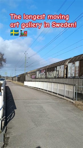 #Wagon Tattoos? Check out this Swedish freight train! 🎨🇸🇪Shorts #Sweden #TrainLife #rt #Freight