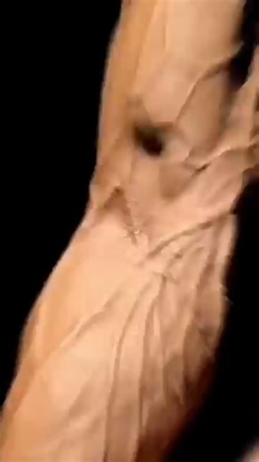 Hand Gripper For Big Forearms & Veiny Arms 😈 #shorts #forearms #ytshorts #strength #workout