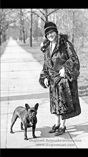 History of the French Bulldog #history
