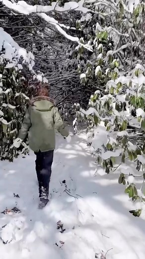 3.1K views · 102 reactions | Waynesville in the wintertime looks like a stroll through Narnia. ❄️ See our favorite things to do in this magical small town at the link in comments. Video: @charmerproperties via @experiencewaynesville | RomanticAsheville.com Travel Guide | Facebook