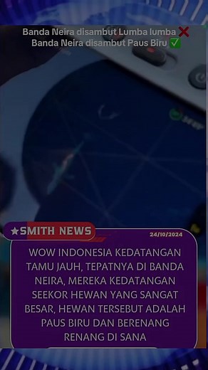 Keberadaan Paus Biru di Samudra Atlantik